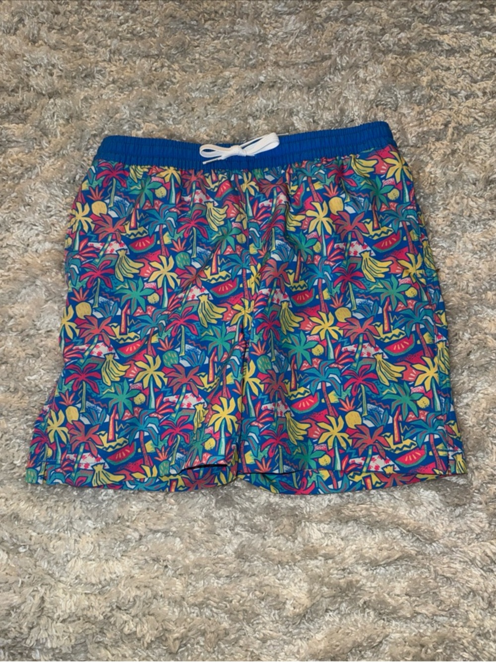 Chubbies Youth The Tropical Bunches Blue Fruit With Liner Boys Size Medium 10-13